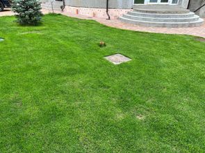 Люк под брусчатку Брус Ли Стальной, Съемная дверца Люк под брусчатку Брус Ли Стальной, Съемная дверца